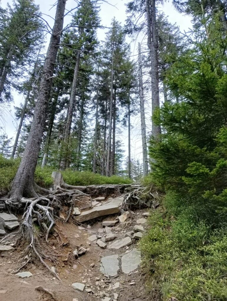 Szlak na Skrzyczne_13_05_2023