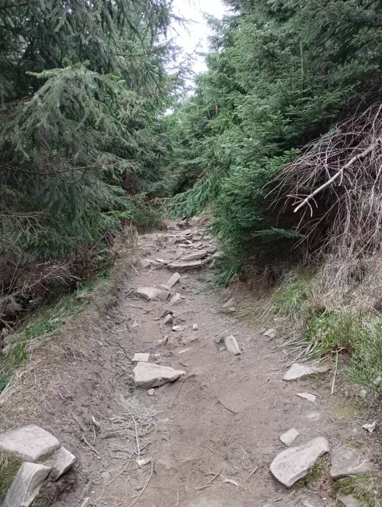 Szlak na Skrzyczne_13_05_2023