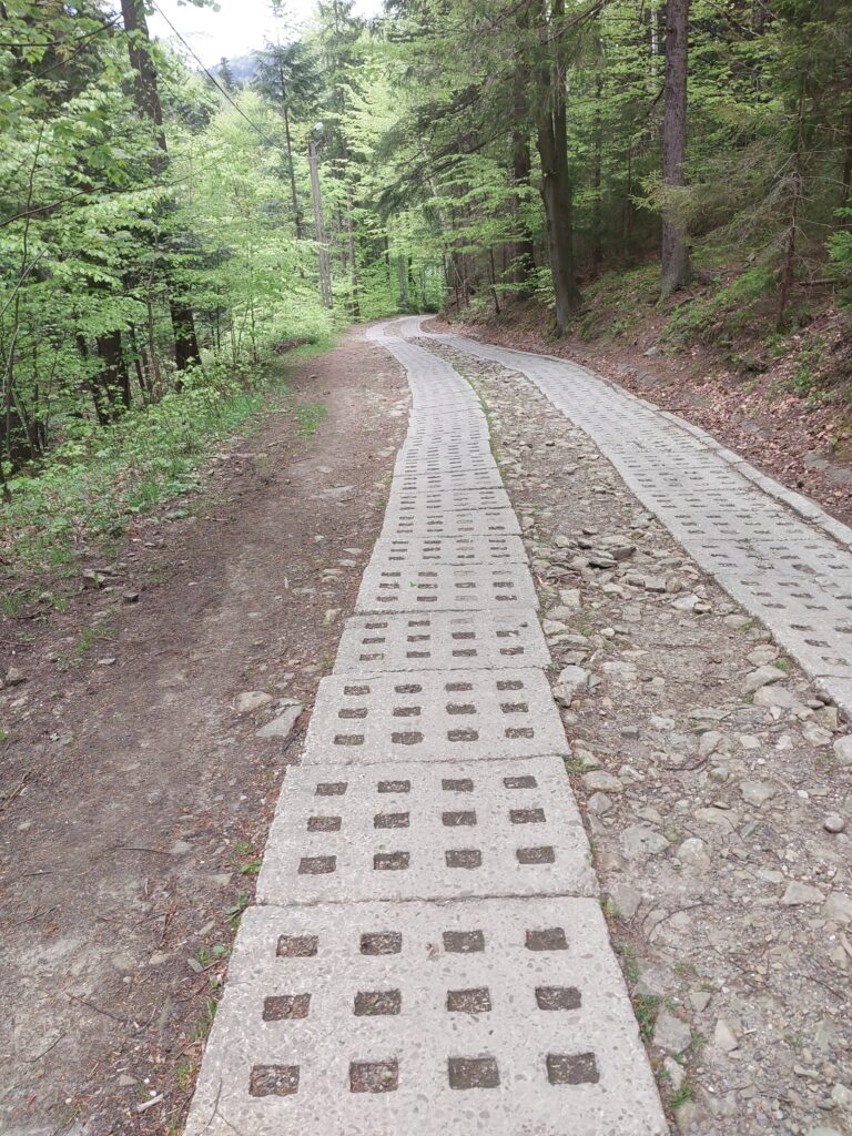 Początek szlaku na Skrzyczne