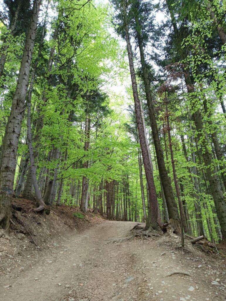 Szlak na Skrzyczne_13_05_2023