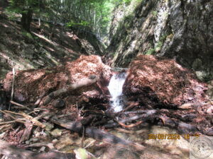 Janosikove Diery woda i liście