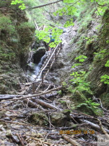 Janosikove Diery trochę dziko i naturalnie