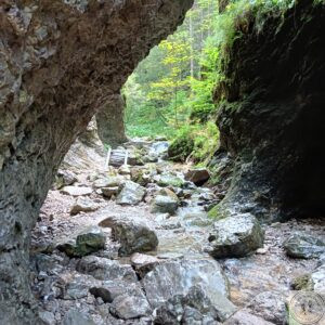 Janosikove Diery czasami szlak prowadzi strumieniem