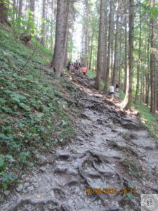 Janosikove Diery czasem szlak wiedzie przez las