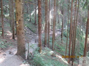 Janosikove Diery czasem szlak wiedzie przez las